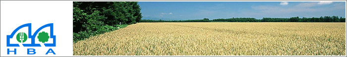 Mexico 200T/D Wheat Flour Milling Process