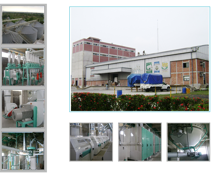 Mexico 200T/D Wheat Flour Milling Process