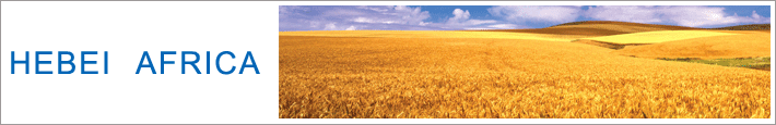 Afghanistan 100T/D Wheat Milling Process