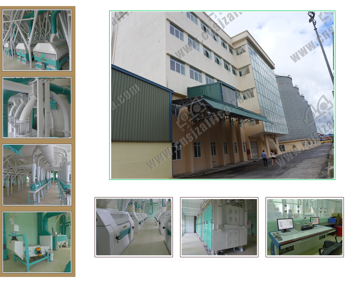 Vietnam 160T/24H Wheat Flour Mill