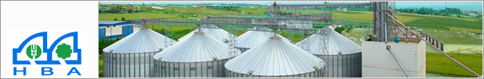 250T/24h Wheat Flour Milling Plant