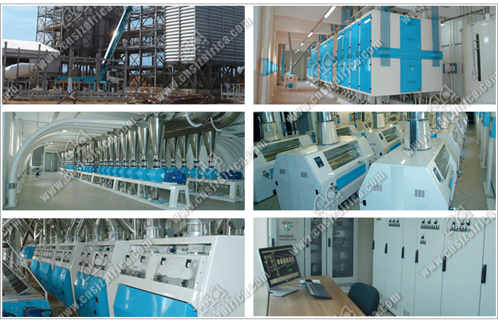 250T/24h Wheat Flour Milling Plant