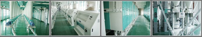 400T/24H Wheat Milling Project